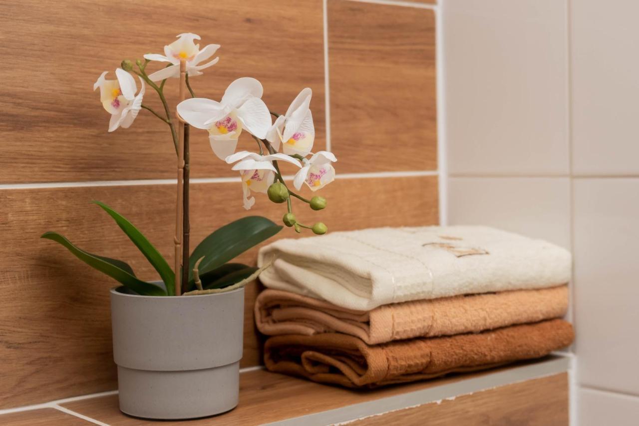 Apartamenty Goszowita Stronie Śląskie Exteriér fotografie