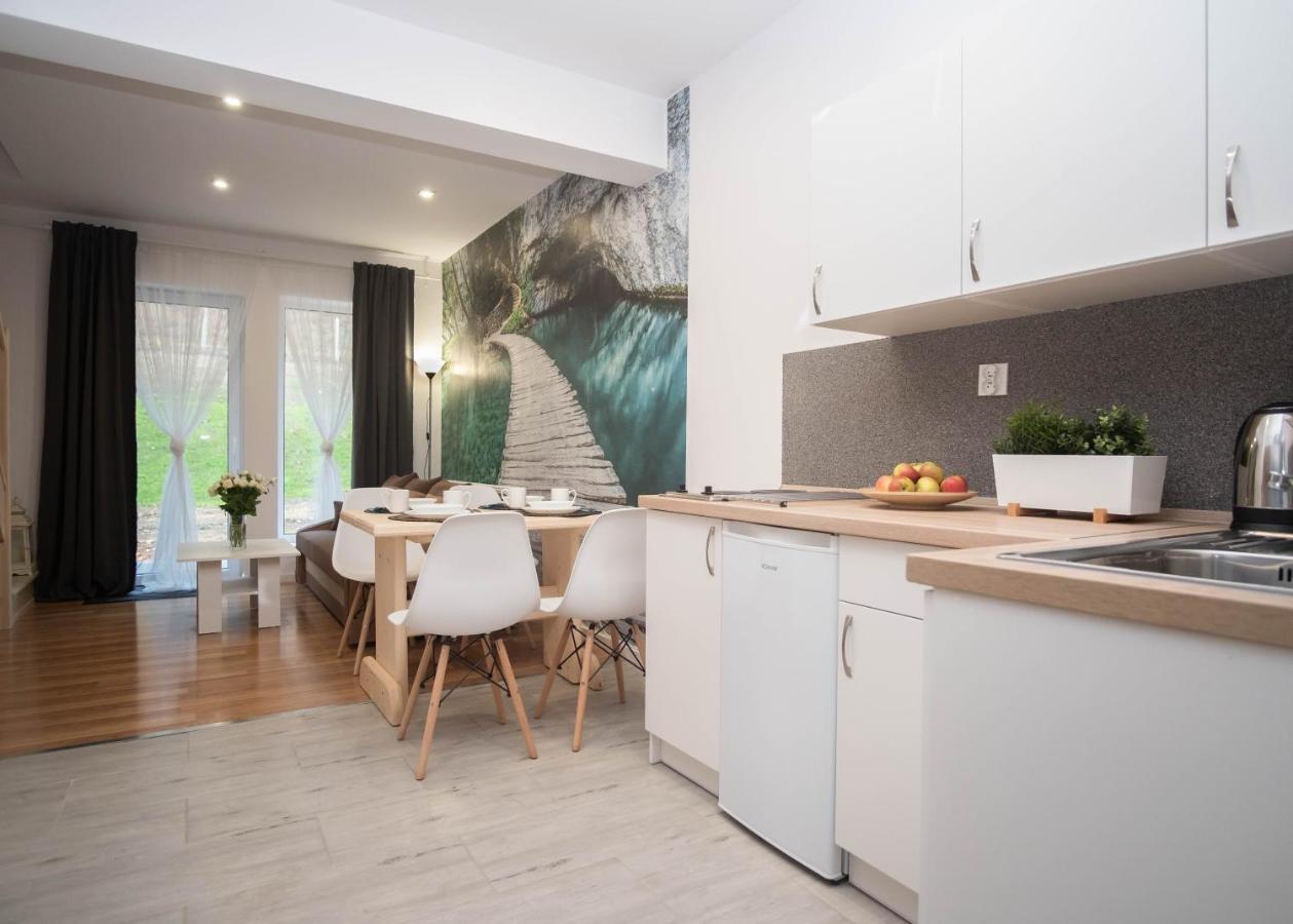 Apartamenty Goszowita Stronie Śląskie Exteriér fotografie